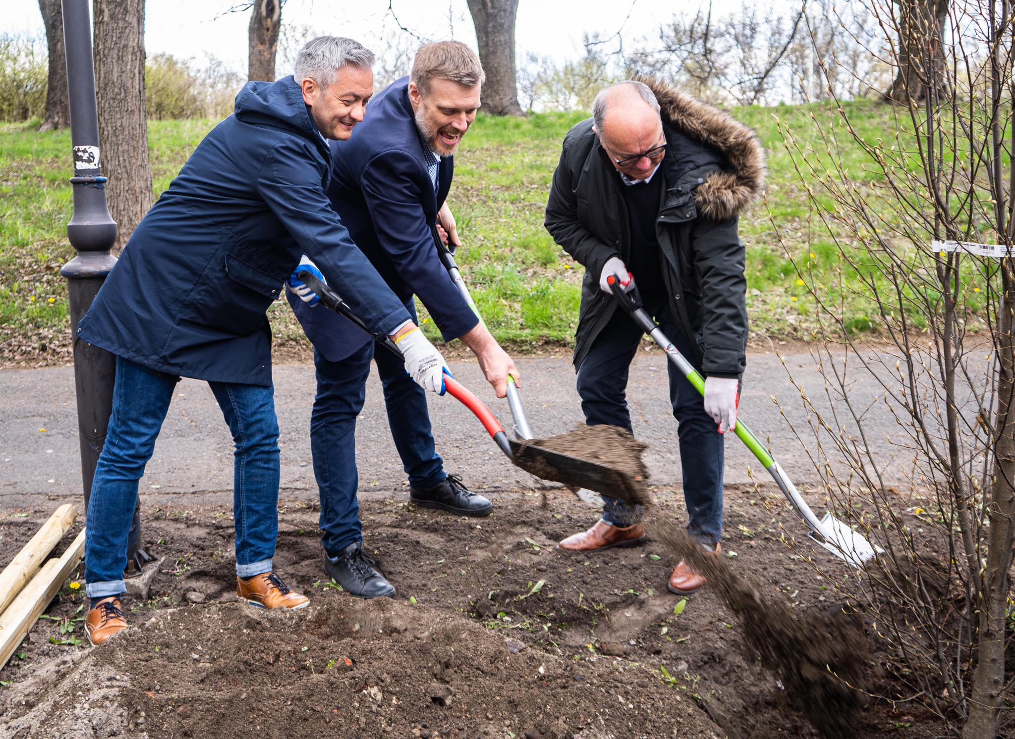 Dzień Ziemi drzewa